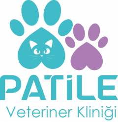 Patile Veteriner Kliniği